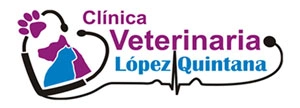 logo Mi Dinero